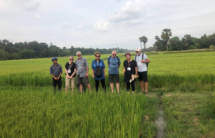 village-life-walk-and-sunset-drinks
